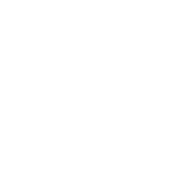 Siga a Daol no Instagram